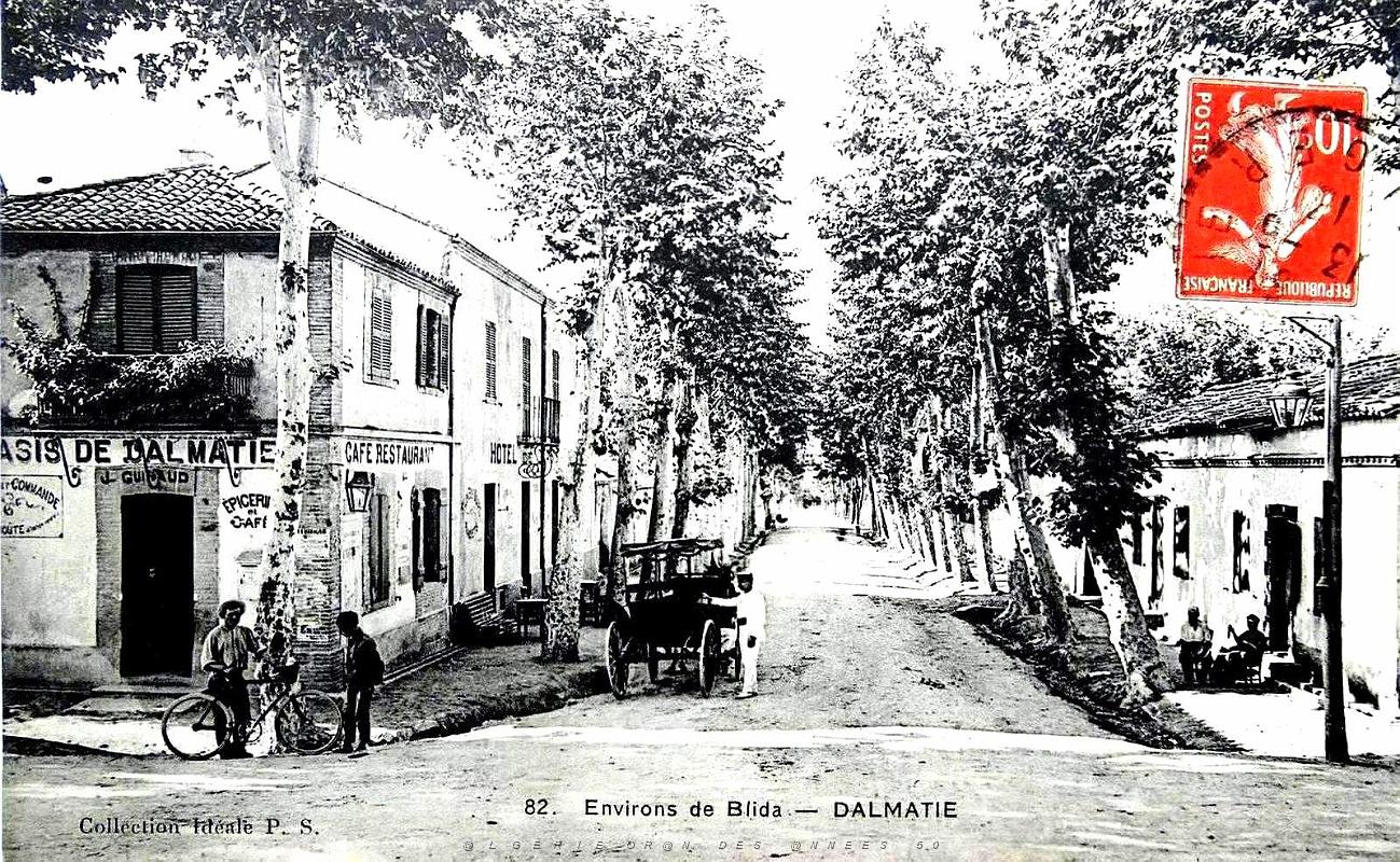 1323- Dalmatie - Environs de Blida.jpg